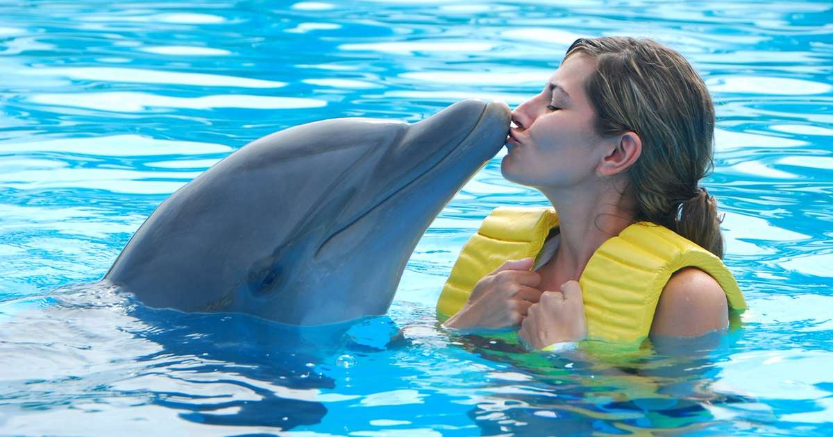 Swimming With Dolphins: Is It Love or Exploitation?