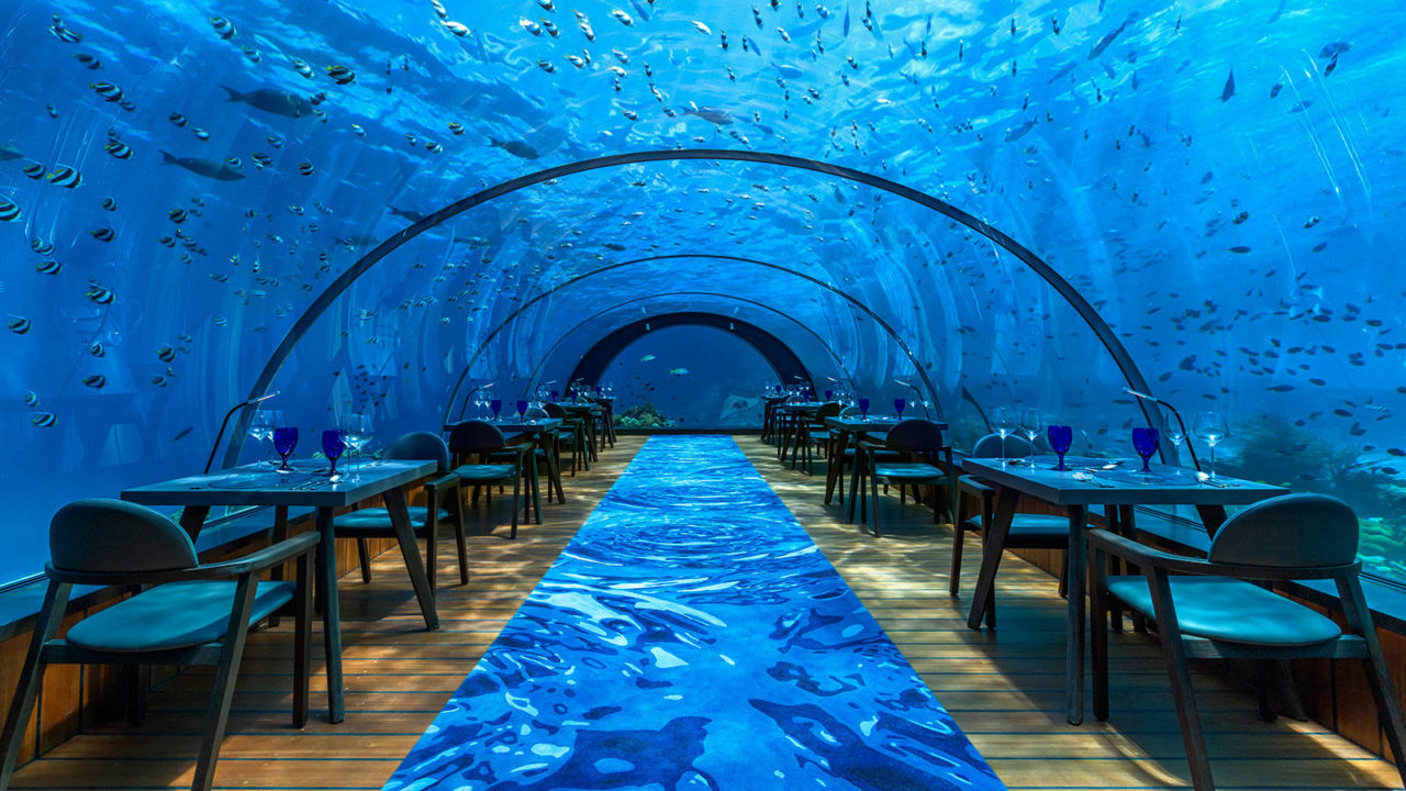 Experience Fine Dining From The Sea You Can See